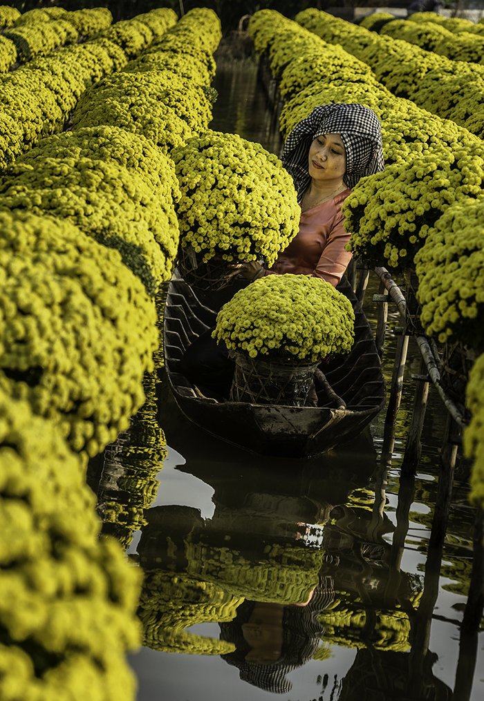 Sa Dec city hosts over 400ha of bonsai flowers. Photo: Duong Hong Mai